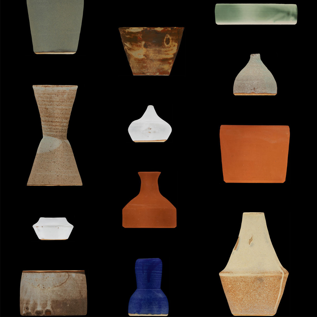 Fleas on the Blue and Silver Paddocks